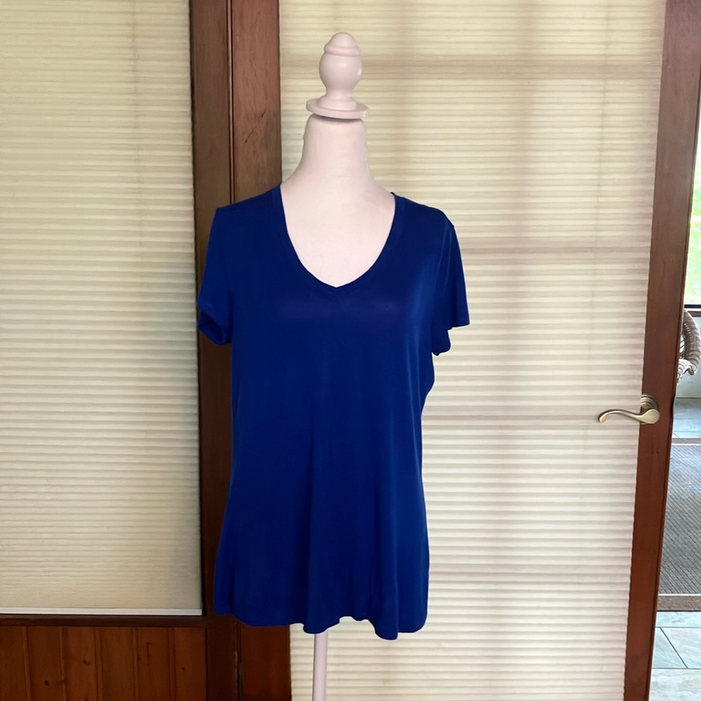 Royal blue, short sleeve, V-necked top